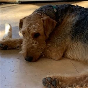 Meet your Posher, Tracey